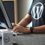 Master of WordPress – 4 Weeks