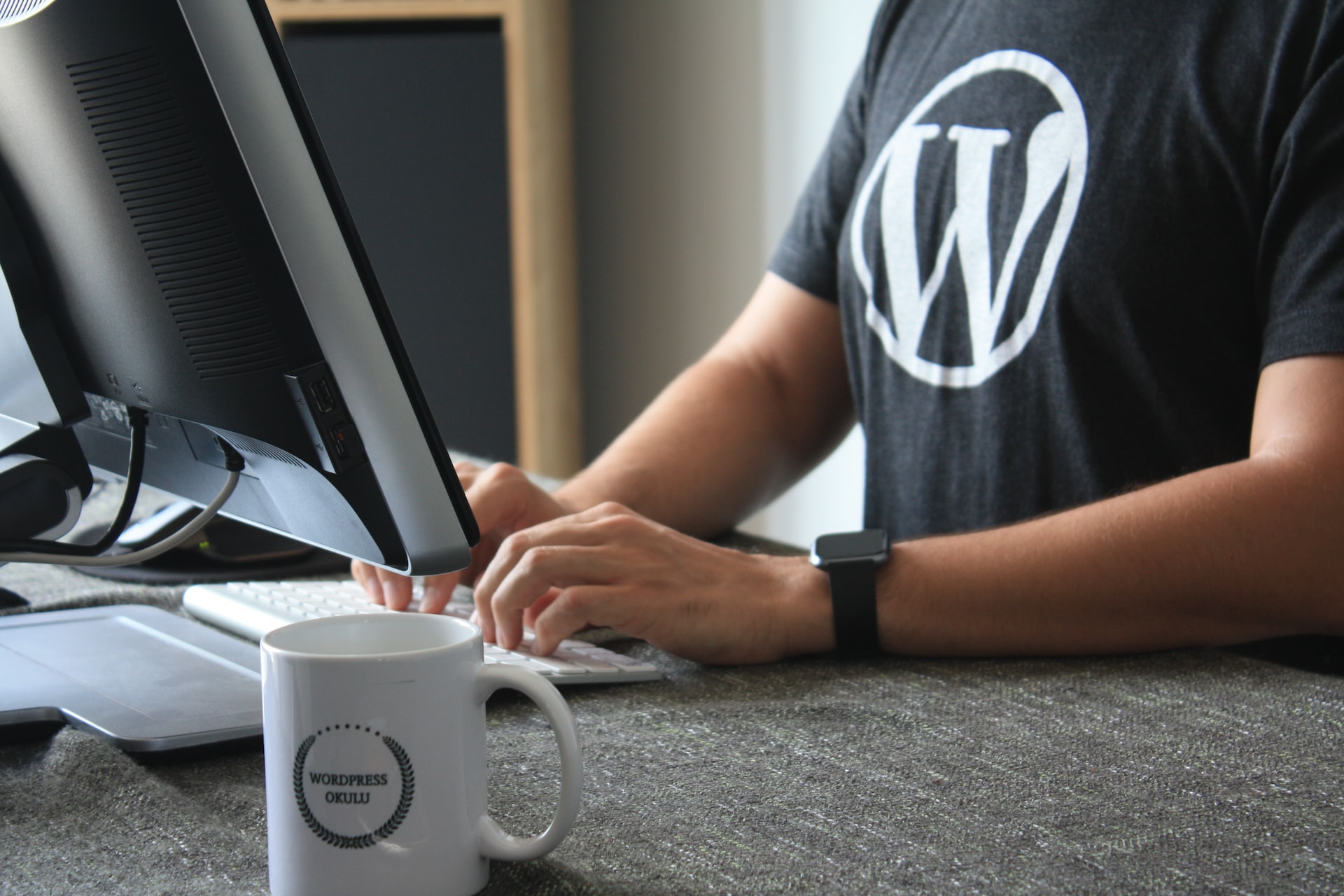 Master of WordPress – 4 Weeks